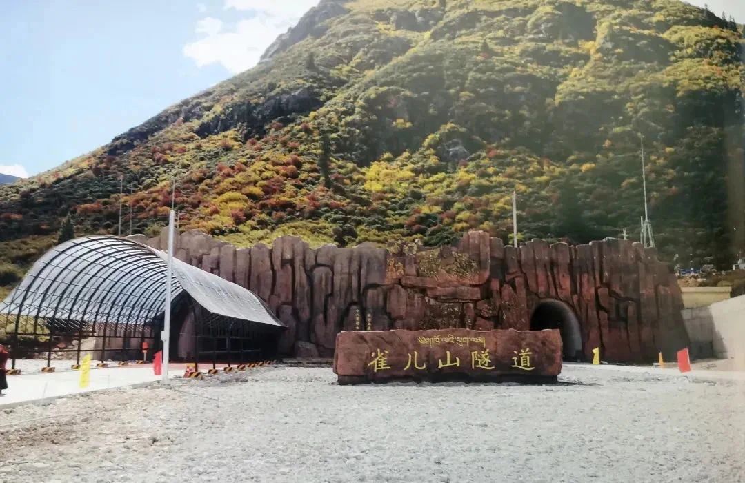 1692599307247576.jpg 5.jpg