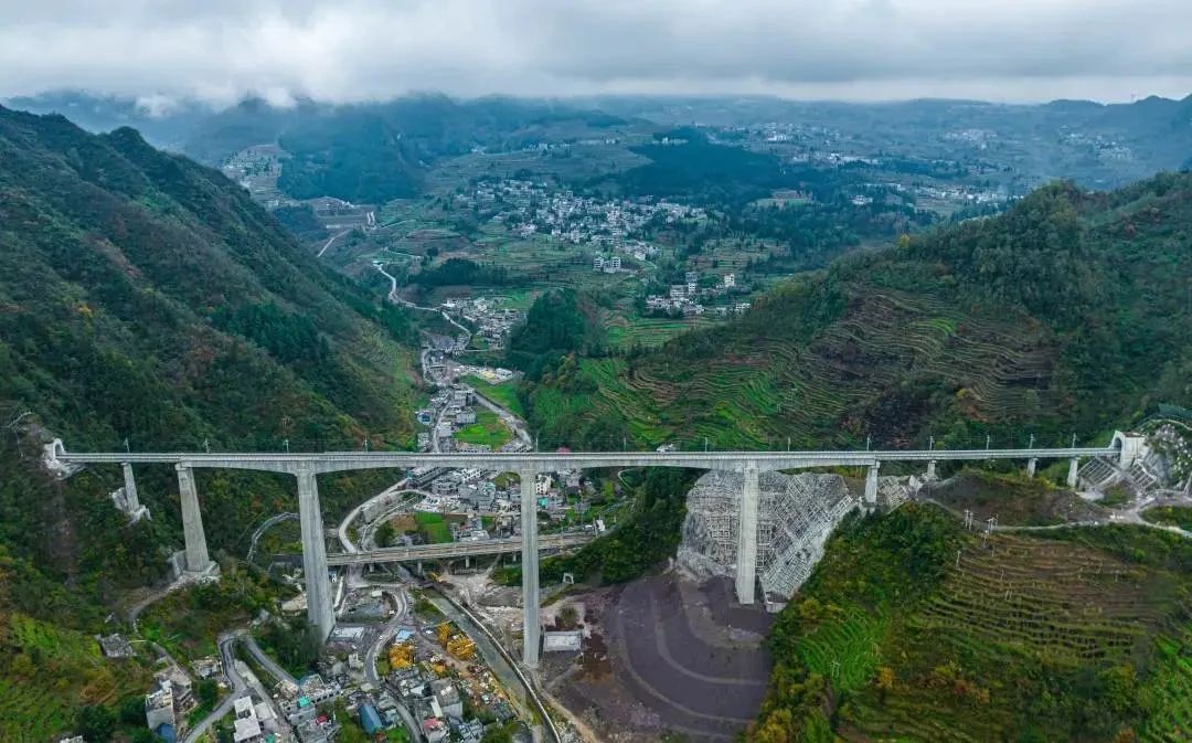 1703236338460093.jpg 3.jpg